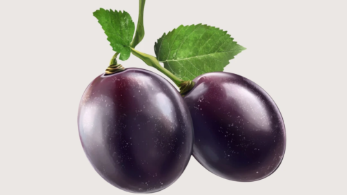 Black Plum