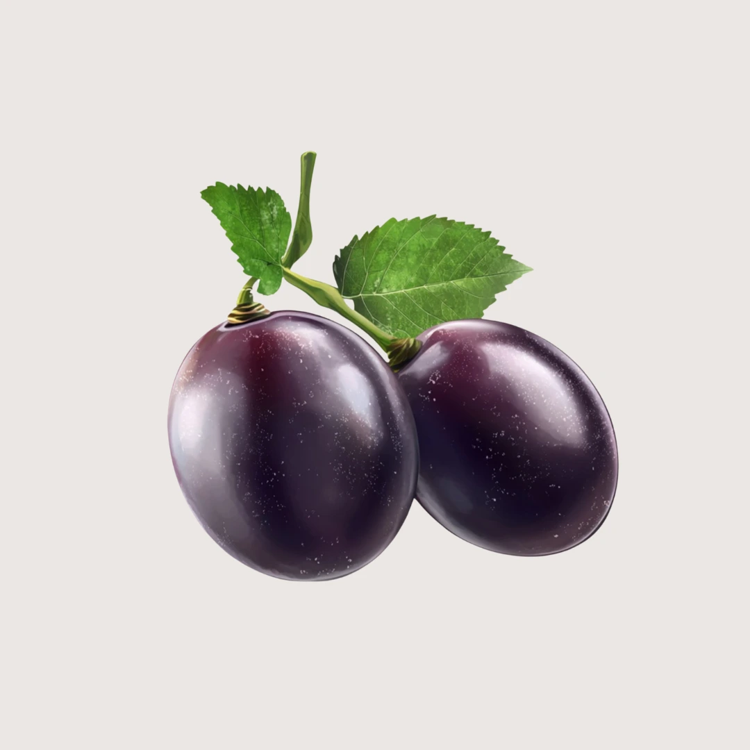 Black Plum