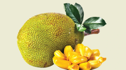 कटहल (Kathal) - Jackfruit