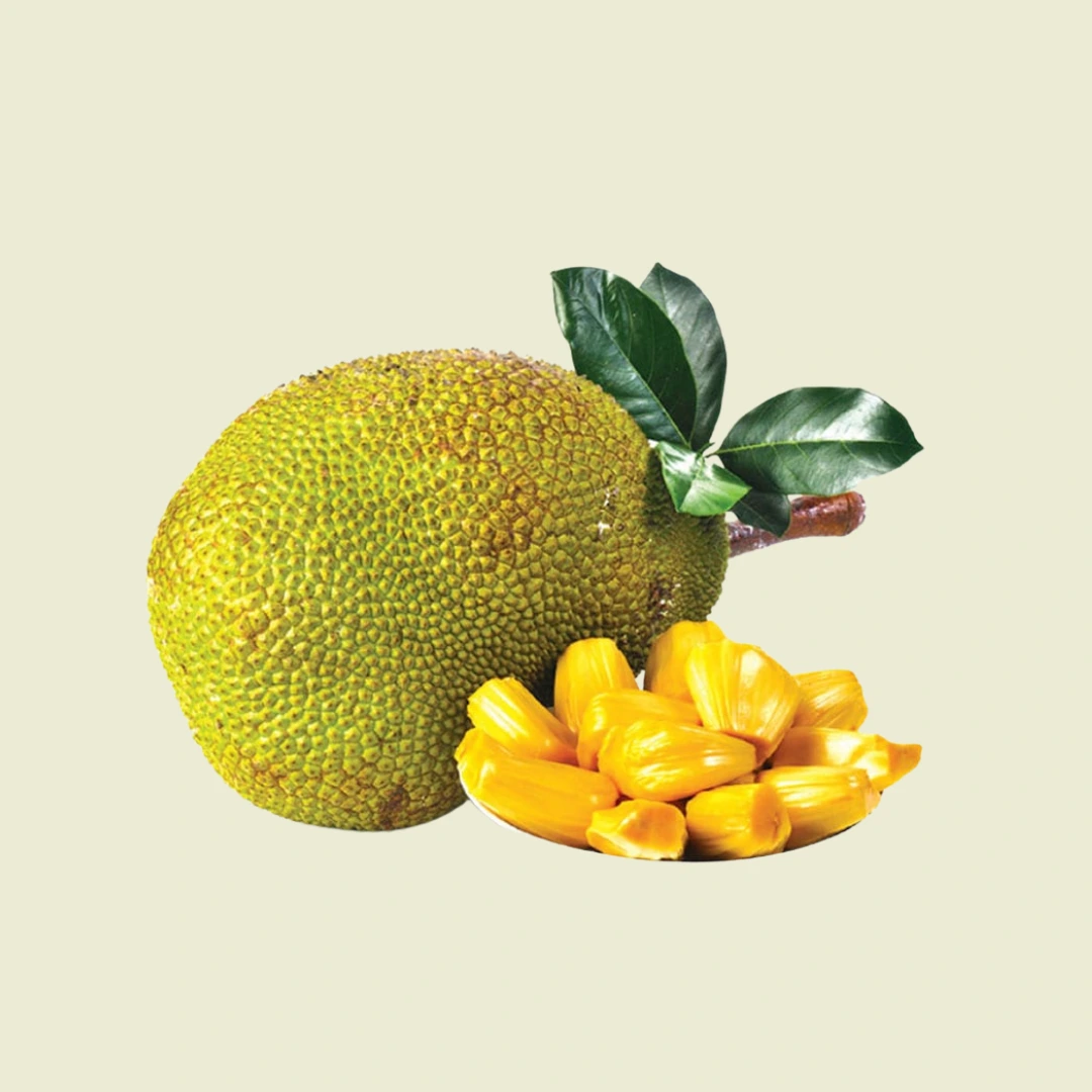 कटहल (Kathal) - Jackfruit