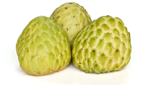 Custard Apple